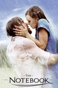 Download The Notebook (2004) Dual Audio {Hindi-English} ESubs BluRay 480p [350MB] || 720p [1.2GB] || 1080p [2.7GB]