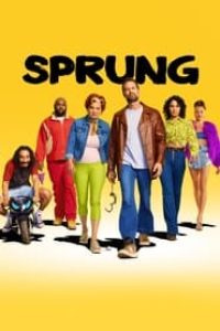 Download Sprung (Season 1) Dual Audio (Hindi-English) Esub WeB-DL 720p [170MB]