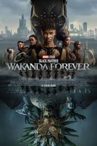 Download Black Panther: Wakanda Forever (2022) Dual Audio {Hindi-English} IMAX WeB-DL 480p [472MB] || 720p [945MB] || 1080p [3.4GB]