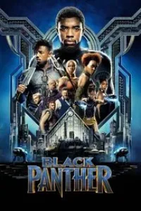 Download Black Panther (2018) Dual Audio {Hindi-English} 480p [399MB] || 720p [939MB] || 1080p [2.9GB]