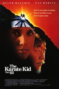 Download The Karate Kid Part III (1989) Dual Audio {Hindi-English} BluRay 480p [396MB] || 720p [912MB] || 1080p [2GB]